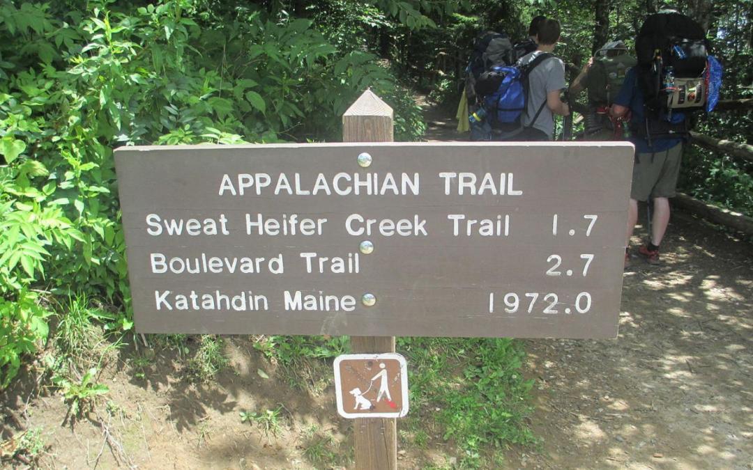 Appalachian Trail: mindenki menjen haza!